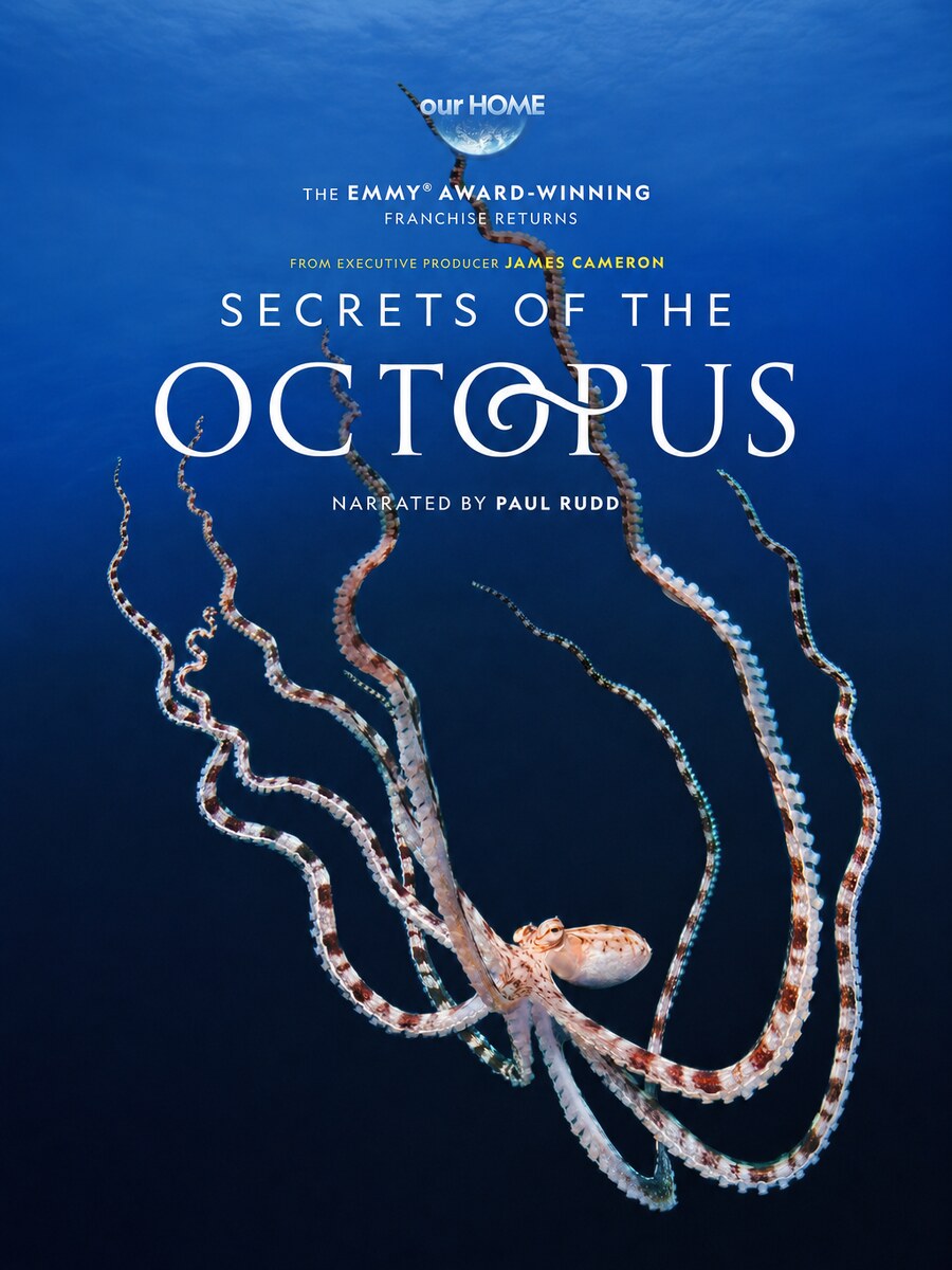 Poster artwork for Secrets of the Octopus